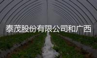 泰茂股份有限公司和廣西泰茂的情況說明