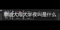 泰迪犬母犬半夜叫是什么原因呢？泰迪犬母犬半夜叫是什么原因引起的