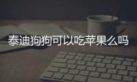 泰迪狗狗可以吃蘋果么嗎？泰迪狗狗能不能吃蘋果?