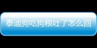 泰迪狗吃狗糧吐了怎么回事？泰迪吃完狗糧又吐出來是什么情況