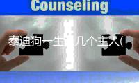 泰迪狗一生認幾個主人(泰迪忠誠度怎么樣)