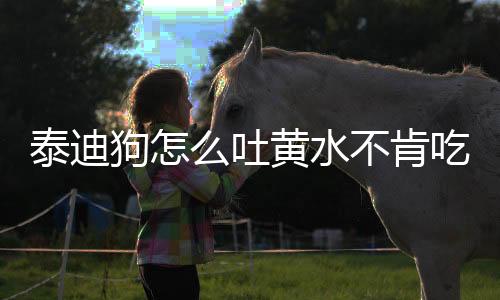 泰迪狗怎么吐黃水不肯吃飯呢怎么回事？泰迪吐黃水不吃飯怎么辦