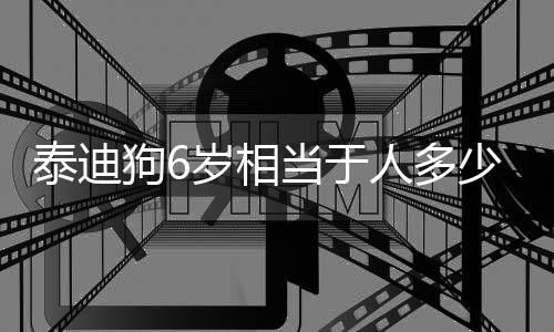 泰迪狗6歲相當于人多少歲(狗一歲相當于人七歲)