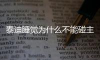 泰迪睡覺為什么不能碰主人？泰迪睡覺時(shí)不讓主人摸