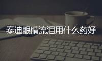 泰迪眼睛流淚用什么藥好？泰迪狗眼睛流淚用什么眼藥水