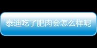 泰迪吃了肥肉會怎么樣呢？泰迪吃了肥肉怎么辦