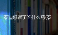 泰迪感冒了吃什么藥(泰迪感冒吃什么藥最好)