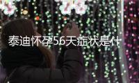 泰迪懷孕56天癥狀是什么？泰迪懷孕50天的狀態(tài)