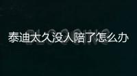 泰迪太久沒人陪了怎么辦(泰迪太久沒人陪養(yǎng)怎么辦)