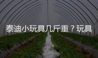 泰迪小玩具幾斤重？玩具泰迪有多重