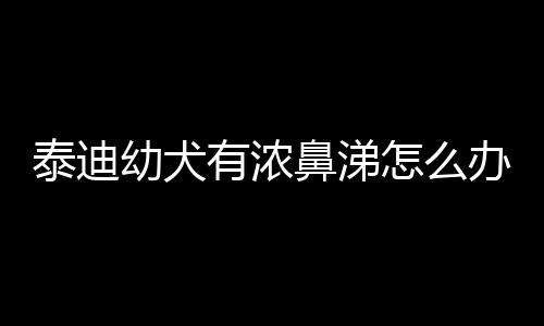 泰迪幼犬有濃鼻涕怎么辦啊？泰迪幼犬有點流鼻涕怎么辦