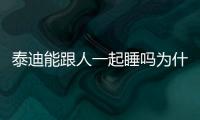 泰迪能跟人一起睡嗎為什么？泰迪狗狗可以和人在一起睡覺嗎