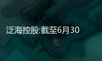 泛海控股:截至6月30日暫未實(shí)施股份回購