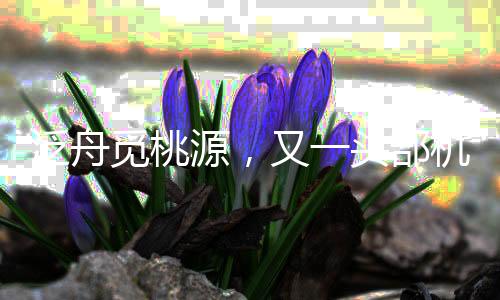 泛舟覓桃源，又一頭部機(jī)構(gòu)下場文旅賽道