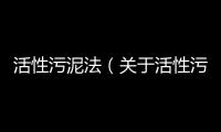 活性污泥法（關于活性污泥法的基本情況說明介紹）