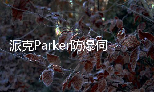 派克Parker防爆伺服電機EX系列和EY系列防爆等級簡析
