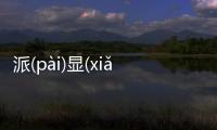 派(pài)顯(xiǎn)發生了什么?