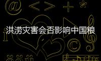 洪澇災害會否影響中國糧食安全？官方回應—新聞—科學網