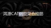 洱源CAT鋼塑復合拉筋帶廠家采購供應