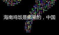 海南雞飯是哪里的，中國海南?。ǜ胶Ｄ想u飯做法）