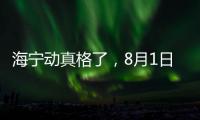 海寧動真格了，8月1日起，將強制拖離清理“僵尸車”！