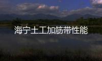 海寧土工加筋帶性能
