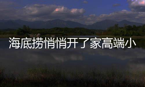 海底撈悄悄開了家高端小酒館「囿吉山」，人均300+！