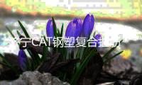 濟寧CAT鋼塑復合拉筋帶規格齊全