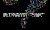 浙江德清深耕“石榴籽”效應(yīng) 多民族攜手逐共富夢