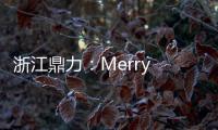 浙江鼎力：Merry Christmas！圣誕快樂！