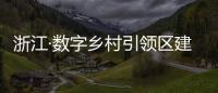 浙江·數字鄉村引領區建設成果展 亮相世界互聯網大會