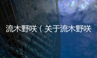 流木野咲（關于流木野咲的基本情況說明介紹）