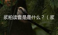 漿粕讀音是是什么？（漿粕是什么原料做的）