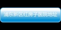 浦東新區紅房子醫院地址（紅房子醫院地址）