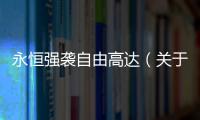 永恒強襲自由高達（關于永恒強襲自由高達的基本情況說明介紹）