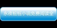 永夜樁樁小說免費閱讀全文（樁樁最好看的小說永夜）