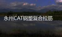 永州CAT鋼塑復(fù)合拉筋帶價格優(yōu)惠