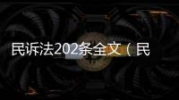 民訴法202條全文（民訴法2013）