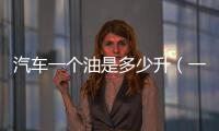 汽車一個(gè)油是多少升（一個(gè)油是多少升）
