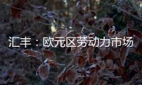 匯豐：歐元區勞動力市場緊張仍給歐洲央行帶來壓力