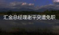 匯金總經理謝平突遭免職 交行副行長接任