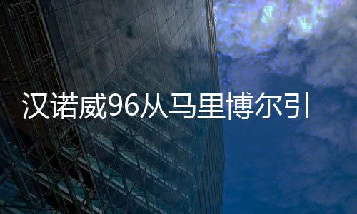 漢諾威96從馬里博爾引進了19歲邊后衛斯托揚諾維奇