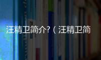 汪精衛簡介?（汪精衛簡介）