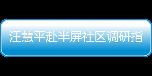 汪慧平赴半屏社區(qū)調(diào)研指導(dǎo)“三強(qiáng)兩促”專項(xiàng)活動