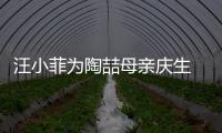 汪小菲為陶喆母親慶生 透露大S孕期狀況好【娛樂新聞】風尚中國網