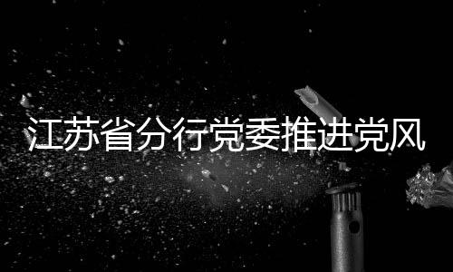 江蘇省分行黨委推進黨風廉潔宣傳教育