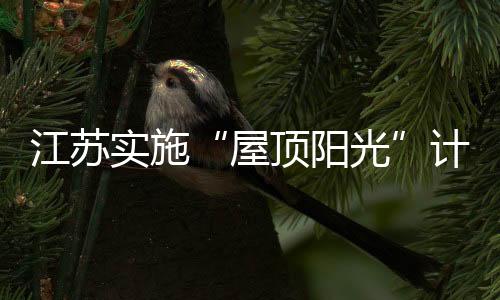 江蘇實(shí)施“屋頂陽光”計(jì)劃,行業(yè)資訊