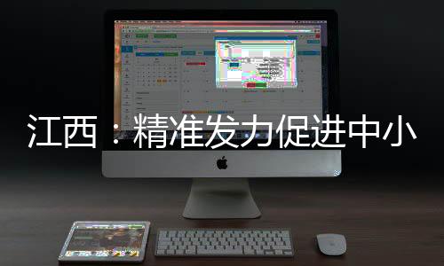 江西：精準發力促進中小微企業成長