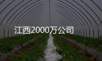 江西2000萬(wàn)公司