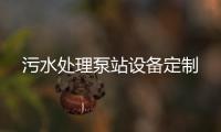 污水處理泵站設備定制